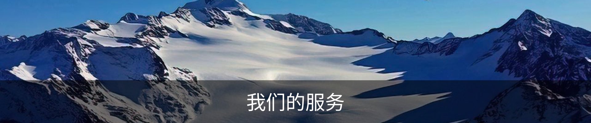 我们的服务